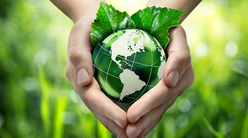 Medio Ambiente