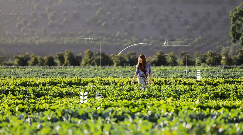Agricultura