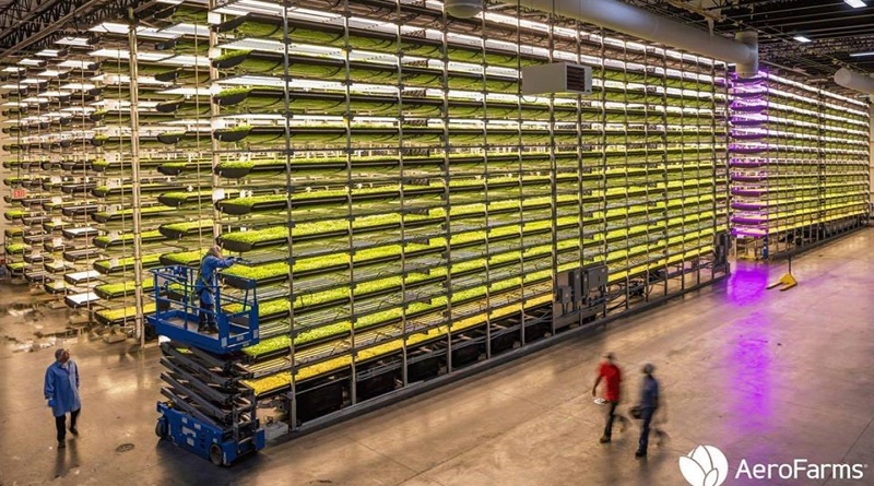 AeroFarms