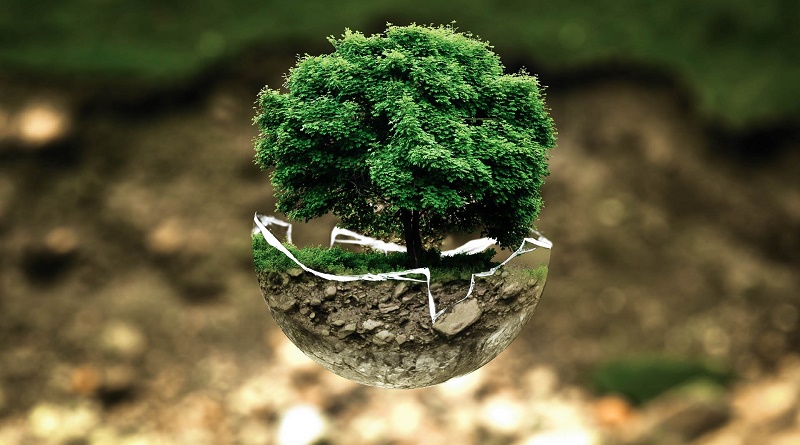 Día mundial del Medio Ambiente 2021