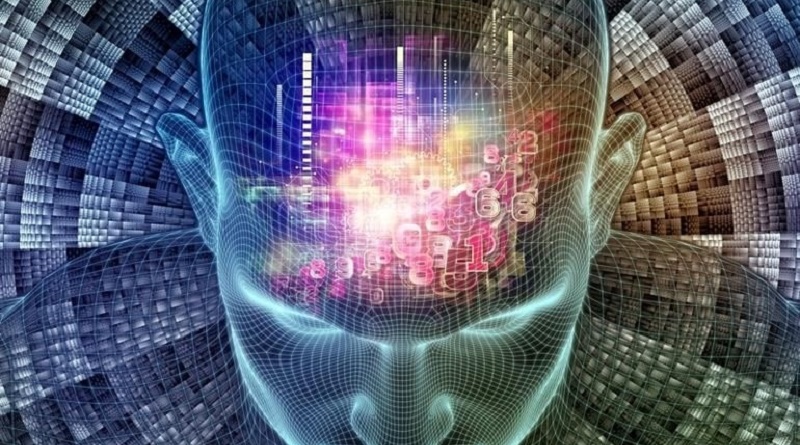 cerebro