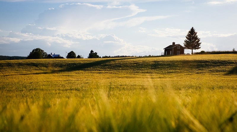 tierra